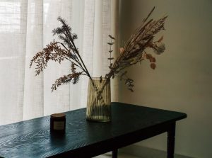 kvillas-kassandra